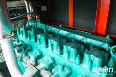 常見柴油機(jī)型號(hào)的含義是什么？